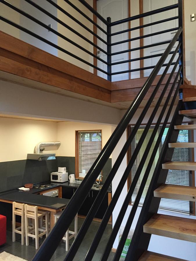 Loft Pucon Aparthotel Екстериор снимка